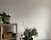 Eladó lakás Siklós 49 900 000 Ft