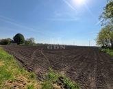 Eladó telek/földterület Kisigmánd 10 990 000 Ft