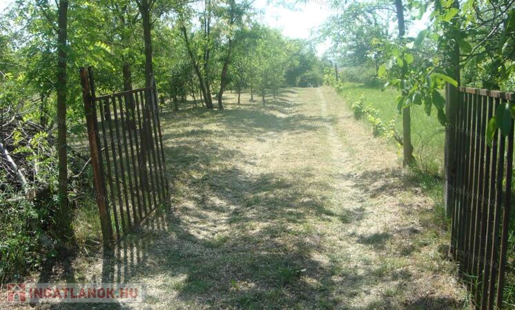 Eladó 2500 nm-es zártkert Szomód külterületi részén!