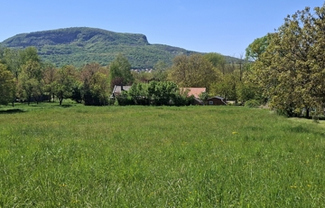 Eladó telek/földterület