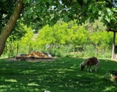 Eladó családi ház Egerág 159 000 000 Ft