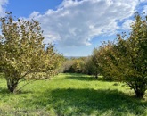 Eladó telek/földterület Cserszegtomaj 18 000 000 Ft