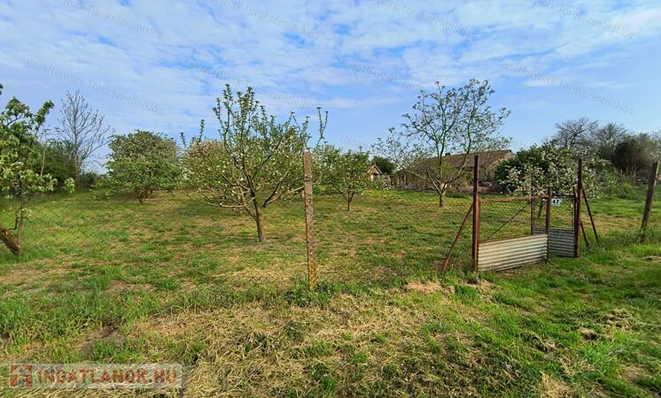 Eladó gyümölcsös Törökszentmiklós-Súrjányban!