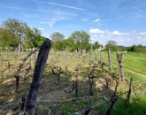 Eladó üdülő/nyaraló Nagyberki 4 500 000 Ft