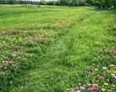 Eladó lakás Pásztó 37 000 000 Ft