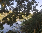 Eladó telek/földterület Szigetcsép 17 500 000 Ft