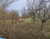 Eladó családi ház Szabadszentkirály 36 000 000 Ft