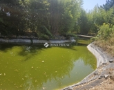 Eladó családi ház Pogány 54 990 000 Ft