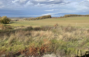 Eladó telek/földterület