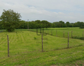 Eladó telek/földterület Balatonberény 45 000 000 Ft