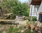 Eladó telek/földterület Pécs 47 000 000 Ft