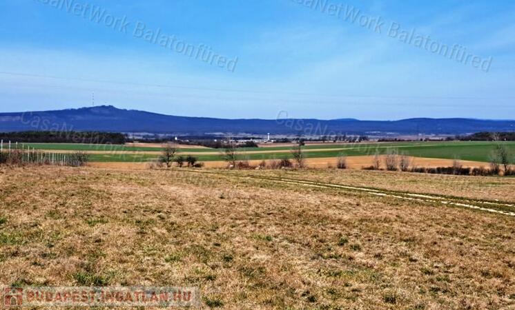 Település és közút melletti - eladó SZÁNTÓ MENCSHELYEN                                 