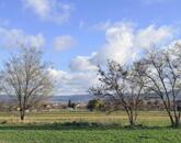 Eladó telek/földterület Tata 120 000 000 Ft