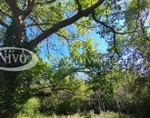 Eladó üdülő/nyaraló Veszprém 14 900 000 Ft