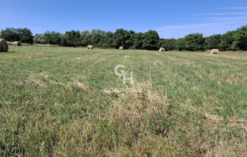 Eladó telek/földterület