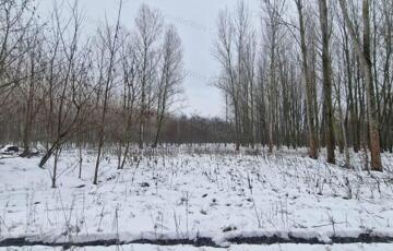 Eladó telek/földterület