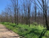 Eladó telek/földterület Dabas 190 000 000 Ft