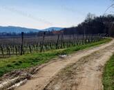 PANORÁMÁS SZŐLŐ A NIVEGY-VÖLGY SZÍVÉBEN - SZENTJAKABFÁN