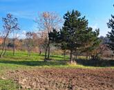 Panorámás, természetközeli ÉPÍTÉSI TELEK eladó CSERSZEGTOMAJON