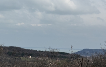 Eladó telek/földterület