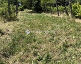 Eladó telek/földterület Kővágószőlős 15 000 000 Ft