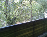 Eladó lakás Dabas 62 900 000 Ft