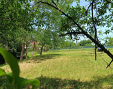 Eladó telek/földterület Zalakaros 7 900 000 Ft