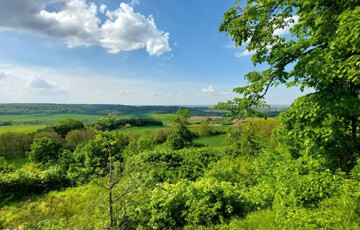 Eladó üdülő/nyaraló