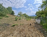 Eladó telek/földterület Vác 65 000 000 Ft