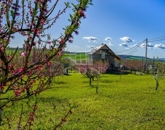 Eladó telek/földterület Edelény 13 500 000 Ft