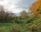 Eladó telek/földterület Türje 3 000 000 Ft