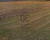 Eladó telek/földterület Nagykutas 6 900 000 Ft