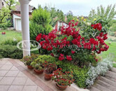 Eladó családi ház Veszprém 230 000 000 Ft