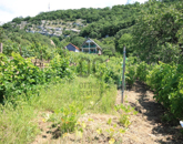 Eladó telek/földterület Tatabánya 1 800 000 Ft