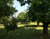 Eladó telek/földterület Balatonalmádi 32 000 000 Ft