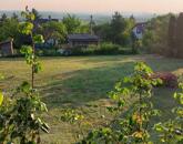 Pátyi panorámás zártkerti telek eladó!