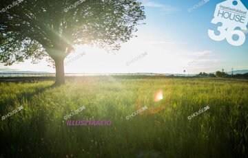 Eladó telek/földterület