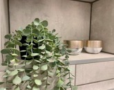 Kiadó lakás Budapest VI. ker 320 000 Ft