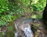 Ősfás birtok saját patakkal az erdő, a Nemzeti Park közepén