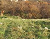 Tatabánya Kőhegy sétány - gyönyörű panorámával építési telek eladó