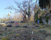 Eladó telek/földterület Zalakaros 9 990 000 Ft