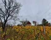 Eladó üdülő/nyaraló Bár 17 500 000 Ft