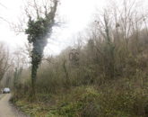 Eladó telek/földterület Zalaszentgrót 500 000 Ft