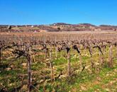 Település szélén -eladó MEZŐGAZDASÁGI TERÜLET BALATONCSICSÓN