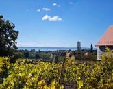 Építhető balatoni panorámás birtok eladó Lovason
