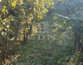 Eladó telek/földterület Tata 9 000 000 Ft