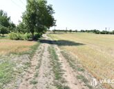 Eladó telek/földterület Békéscsaba 2 500 000 Ft