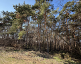 Eladó telek/földterület Debrecen 18 900 000 Ft