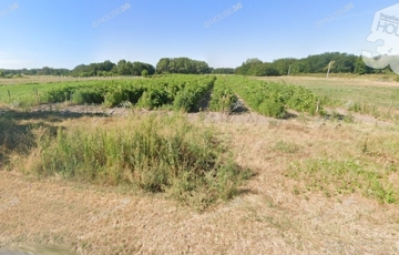 Eladó telek/földterület