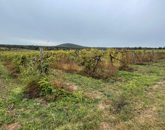 Eladó telek/földterület Zánka 21 200 000 Ft